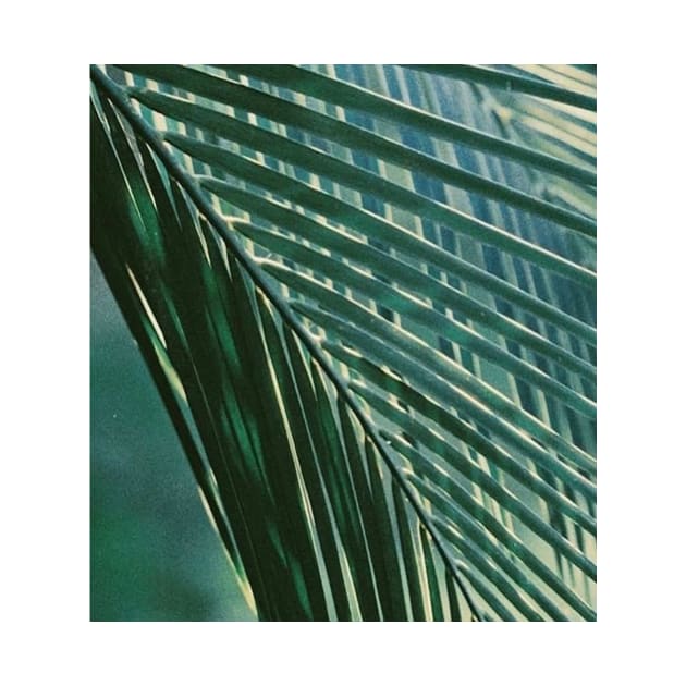 Tropical Palm Tree Leaf by SoCalDreamin