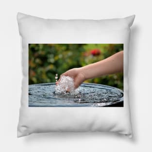 The Fountain of Youth Pillow