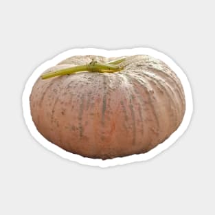 Pale Orange Pumpkin for Halloween Decoration Magnet