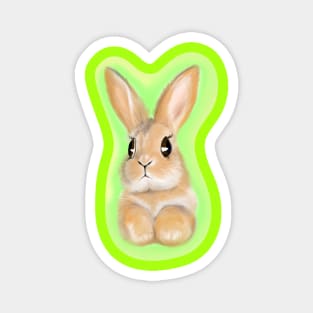 Glowing Rabbit Painting Art Magnet