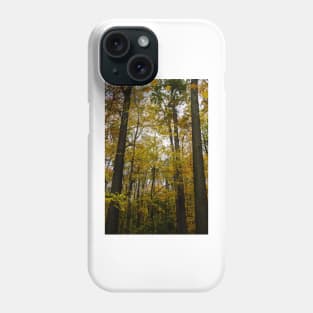 Bruce Trail Burlington, autumn colors Phone Case