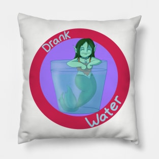 Drank Water Pillow