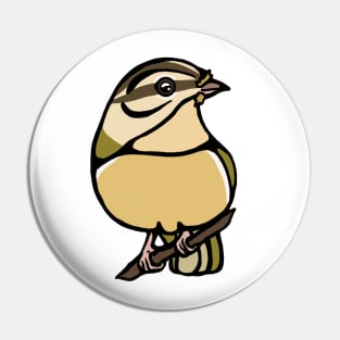 Worm Eating Warbler Graphic Pin