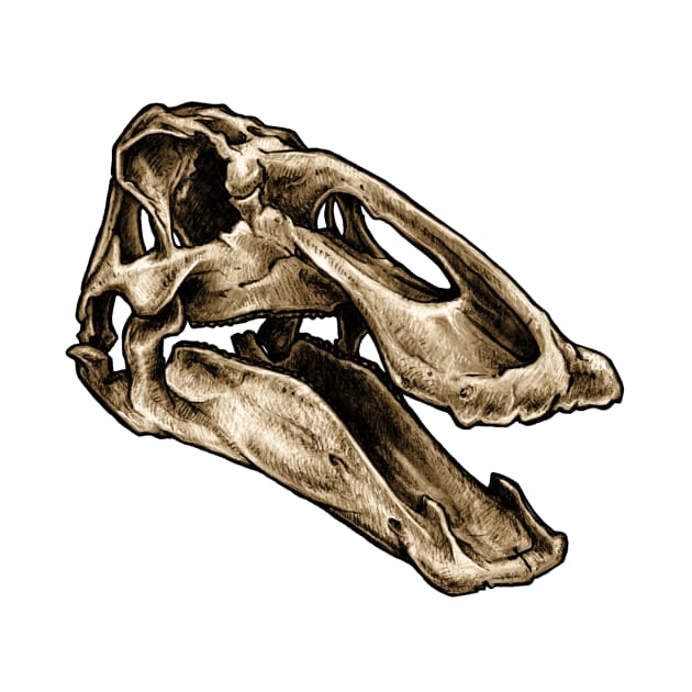 Dinosaur Skull Edmontosaurus by CassWArt