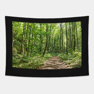 Deciduous forest in the summer Tapestry