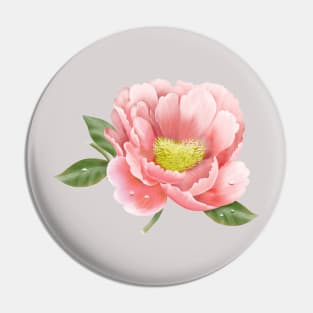 gentle english peonies Pin