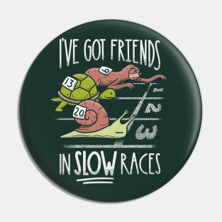 Funny Sloth - I've got friends in slow races Pin