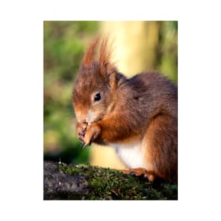 Red Squirrel T-Shirt