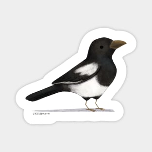 Eurasian Magpie Magnet