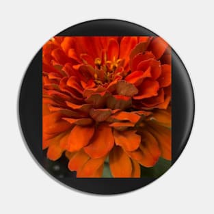 Fall Harvest Orange Zinnia Pin