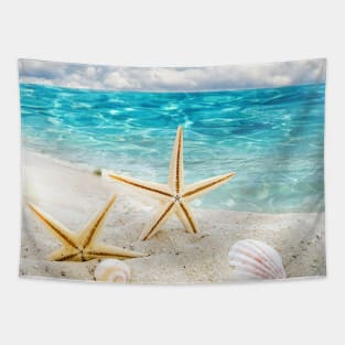 seashell Tapestry