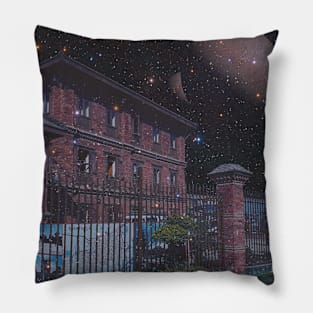 Starry Evening Pillow