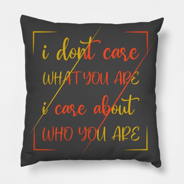 I Dont Care What You Are I Care About Who You Are Pillow by SbeenShirts