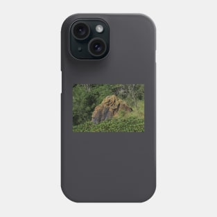 Red Sand Stone rock in a pasture Phone Case