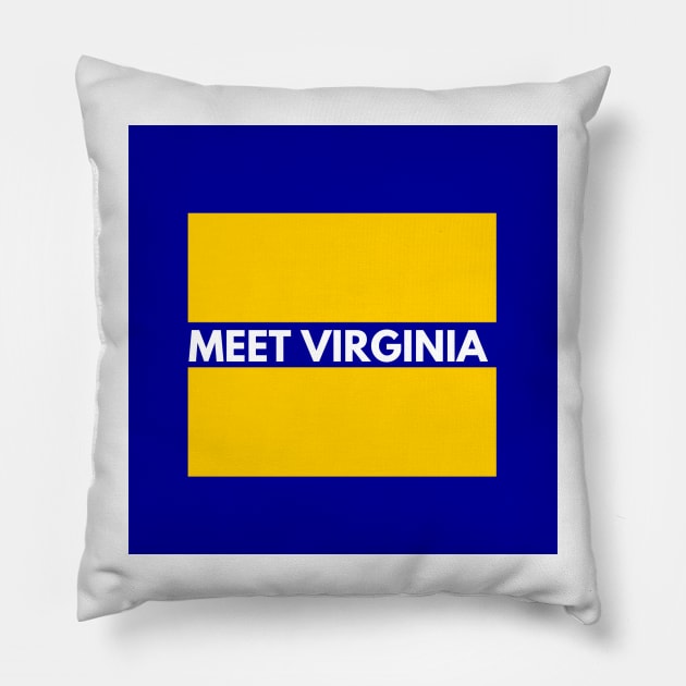 Meet Virginia a state for all Pillow by gillys