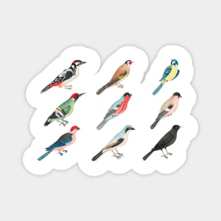 Bird Lover Magnet