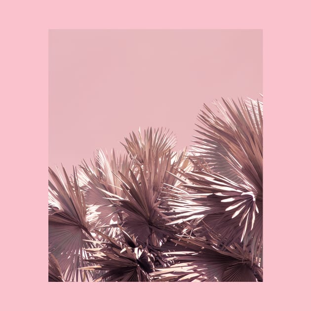 Palm trees - pink - nature photography by ArtByMe