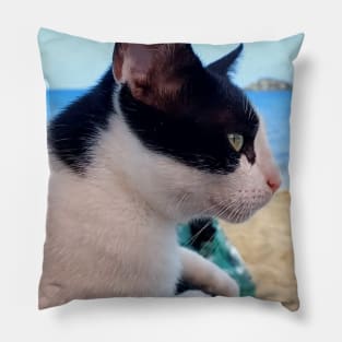 Cat on the Beach Pillow