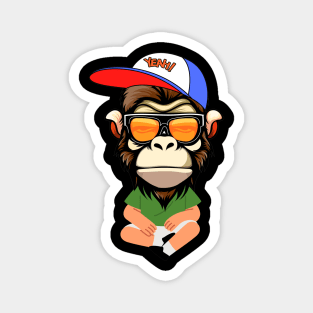 Skater Monkey Magnet