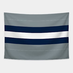 Dallas Color Stripes Tapestry