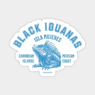 Iguanas from Isla Mujeres, Mexico Magnet