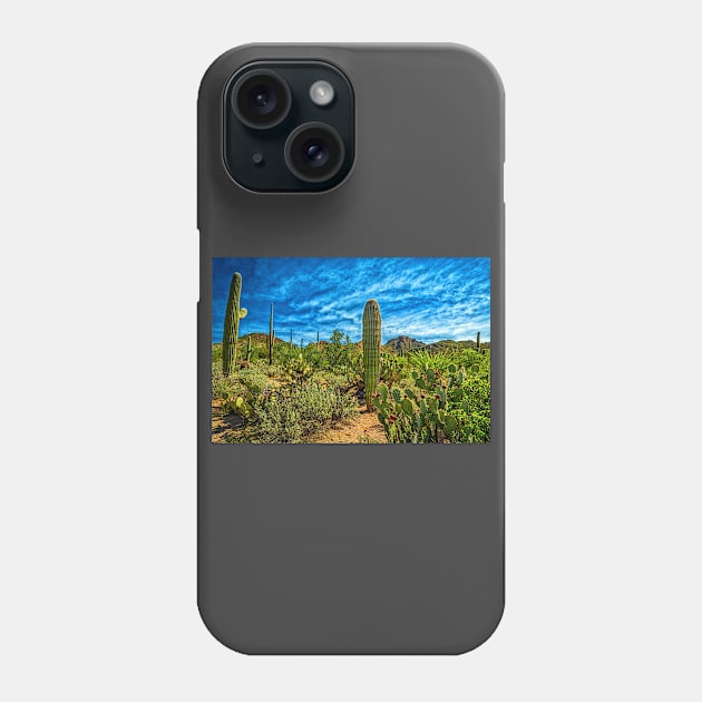 Saguaro National Park Phone Case by Gestalt Imagery