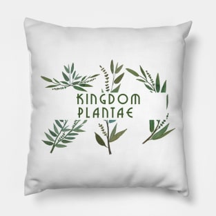 Kingdom plantae designed fashion trend sweater totes, phone cases, mugs, masks, hoodies, notebooks, stickers pins, Pillow