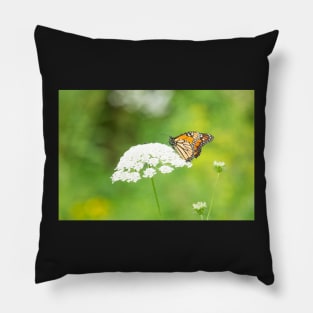 The Monarch on Queen Anne's Lace Pillow