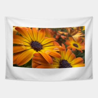 Orange Daisies With Water Drops Tapestry