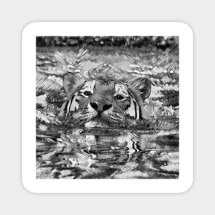 AnimalArtBW Tiger 001 Magnet