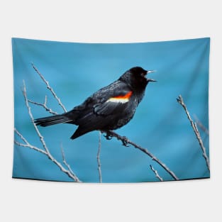 Red-winged Blackbird Calling With Its Beak Wide Opened Tapestry