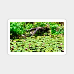 Water Lilies on the Pond Magnet