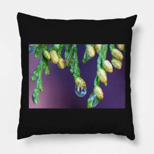 Cedar Buds Pillow