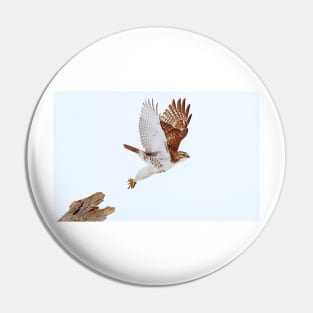 Red-tailed Hawk Pin