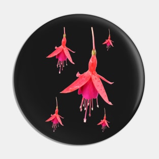 Fuchsia &#39;Pink Fizz&#39; Pin