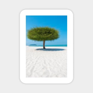 Single tree on tropical beach Magnet