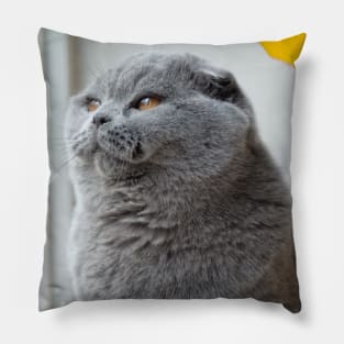 The biue cute cats Pillow