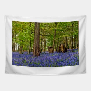 Bluebells Bluebell Woods Greys Court Oxfordshire UK Tapestry