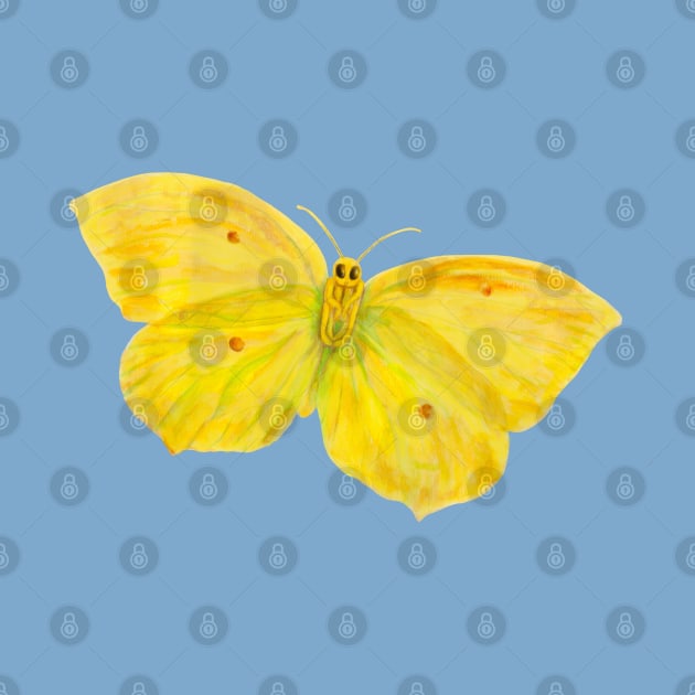 Yellow Butterfly Common Brimstone, Gonepteryx rhamni, flying Illustration by Julia Doria Illustration