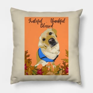 Grateful Graduate Pillow