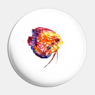 discus, rainbow colors, yellow red, blue Pin
