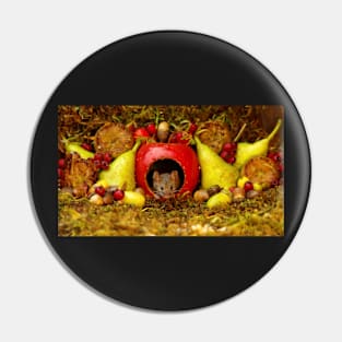 Autumn mouse in a apple house Pin