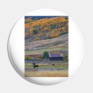 Colorado Horse Ranch Pin