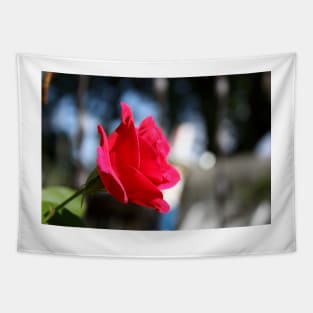 Bright and Colorful RED ROSE close up Tapestry