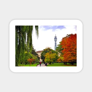 Autumn Trees Regent's Park London England Magnet