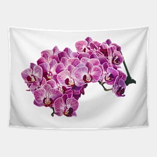 Pink orchid Tapestry