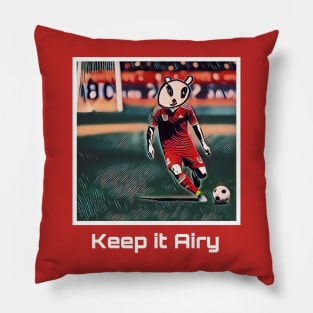 Keep it Airy: Soccer Pillow