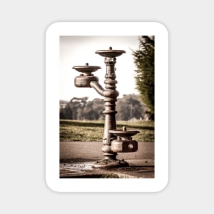 Classic Water Fountain 1 Magnet