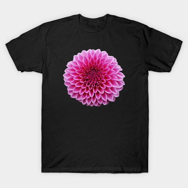 Pink Dahlia Flower Gardener Gift Spring Summer Gardening Fun Dahlia T Shirt Teepublic Uk