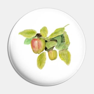 Winter Apples Pin